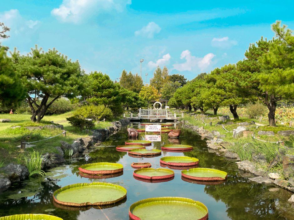 한국관광공사 세미원 수련문화제 모습