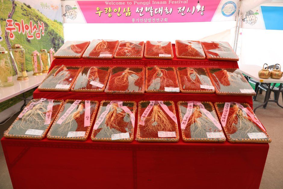 한국관광공사 영주 풍기인삼축제 모습